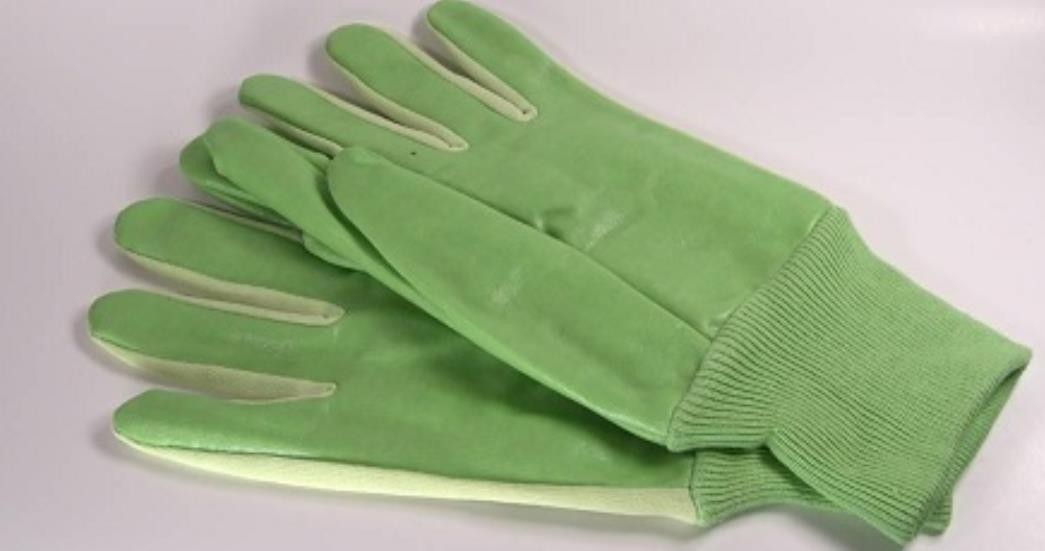 “绿手套”在娱乐圈中是什么梗，绿手套有哪些特征