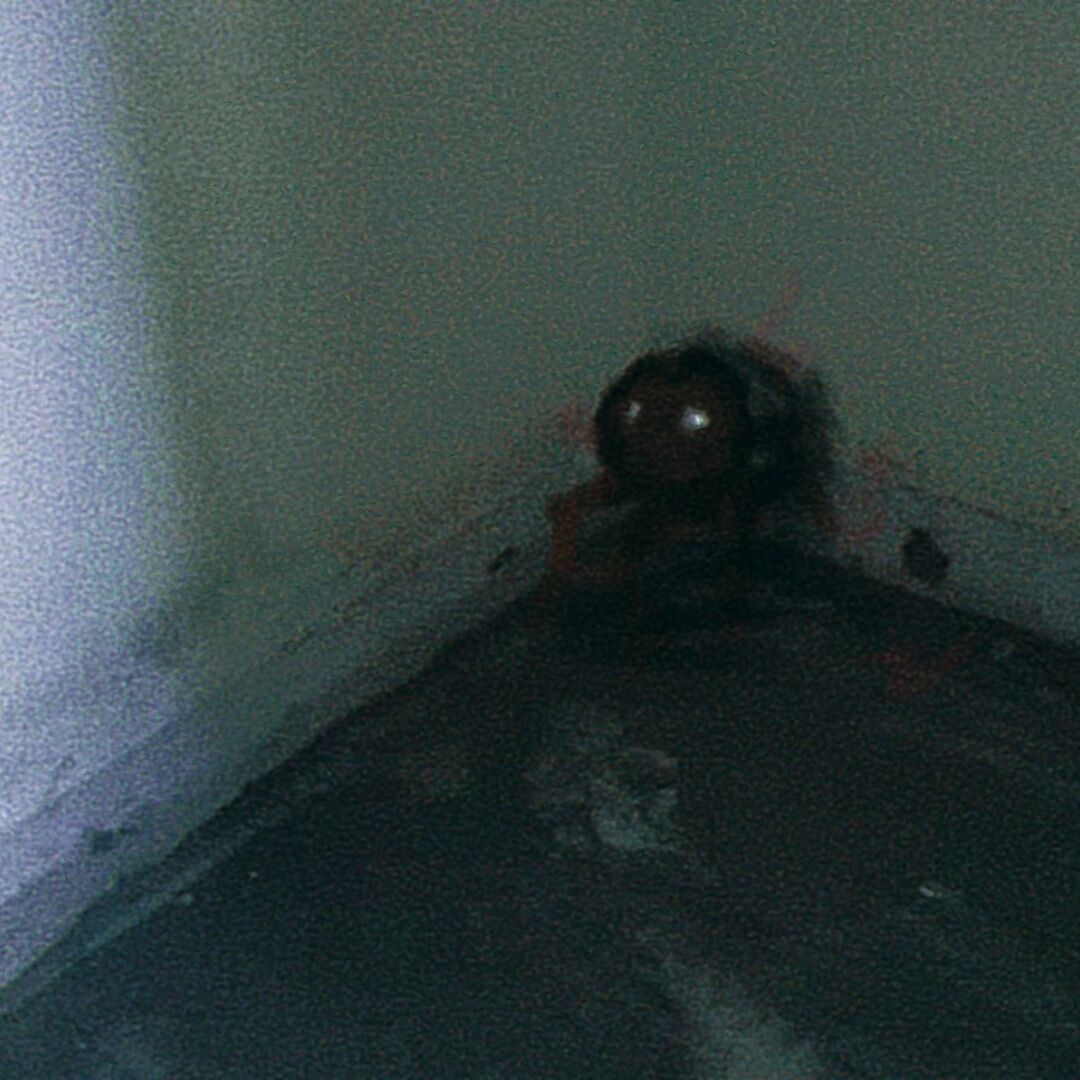 piQRfy9.jpg