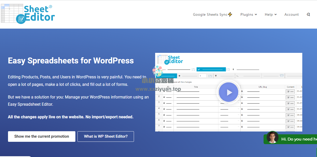 WordPress表格插件 WP Sheet Editor Pro开心版 (v2.25.5)